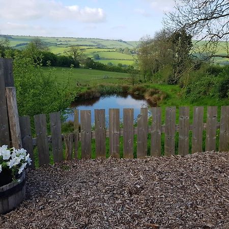 Eco Accommodation Cornflower Craven Arms Exterior foto