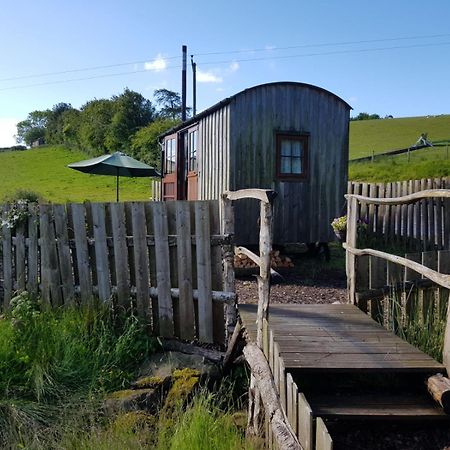 Eco Accommodation Cornflower Craven Arms Exterior foto