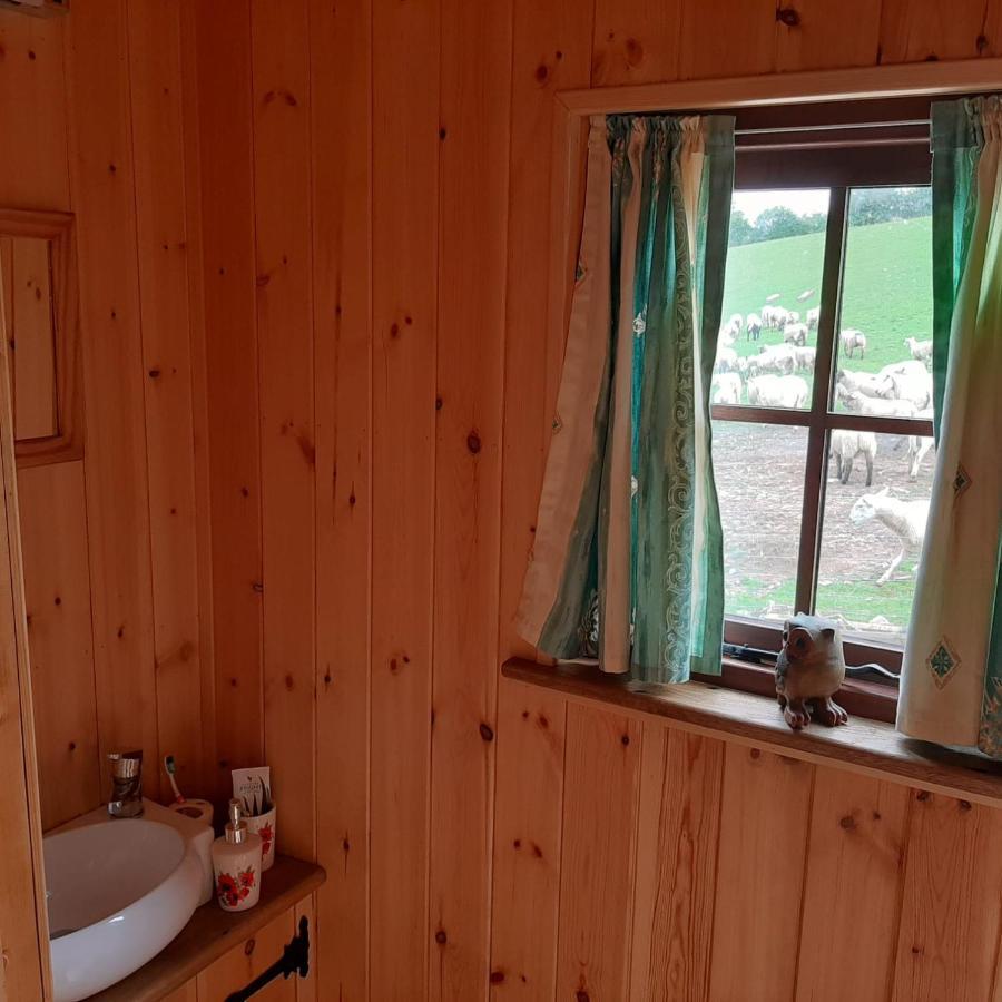 Eco Accommodation Cornflower Craven Arms Exterior foto