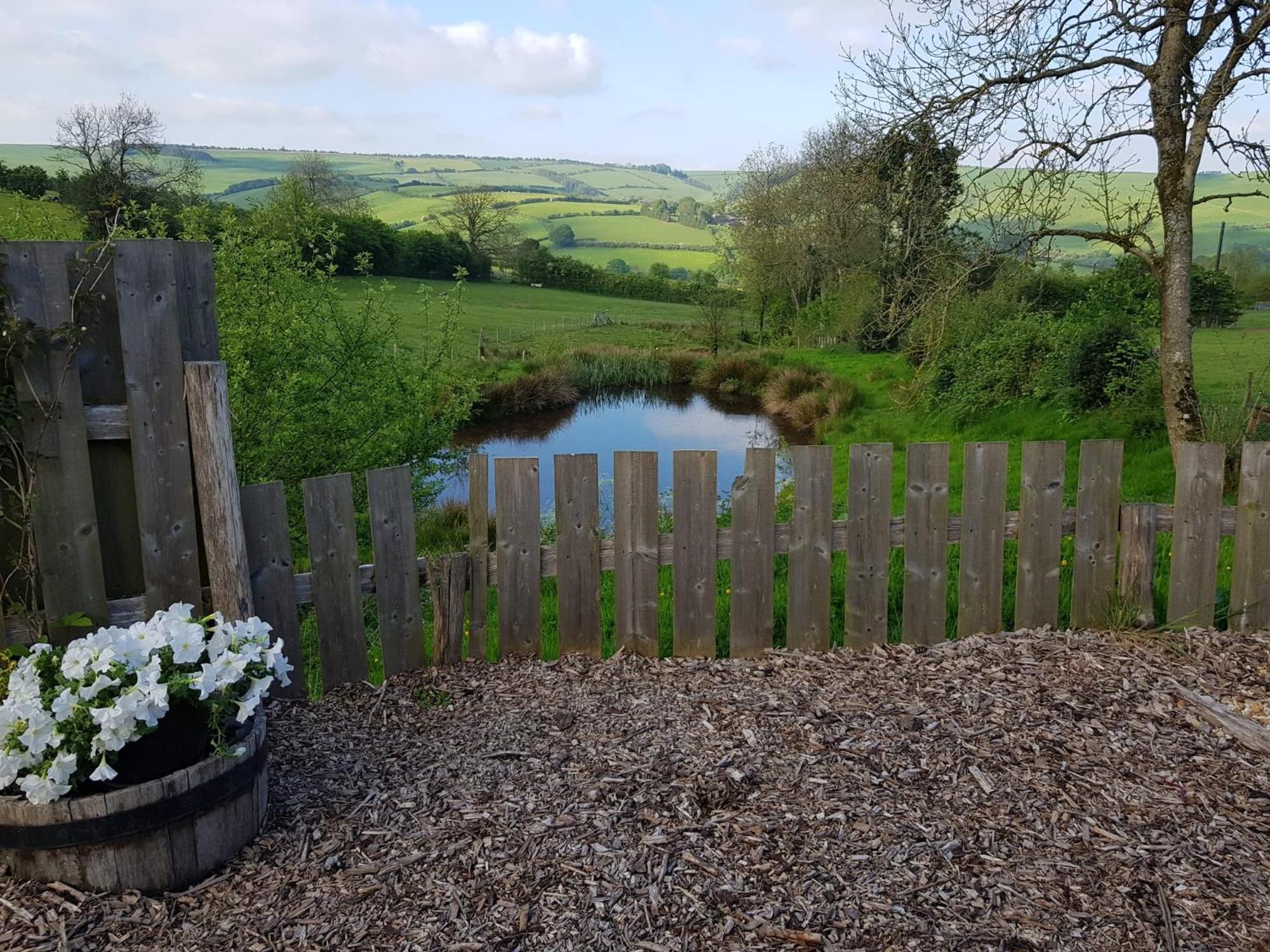 Eco Accommodation Cornflower Craven Arms Exterior foto